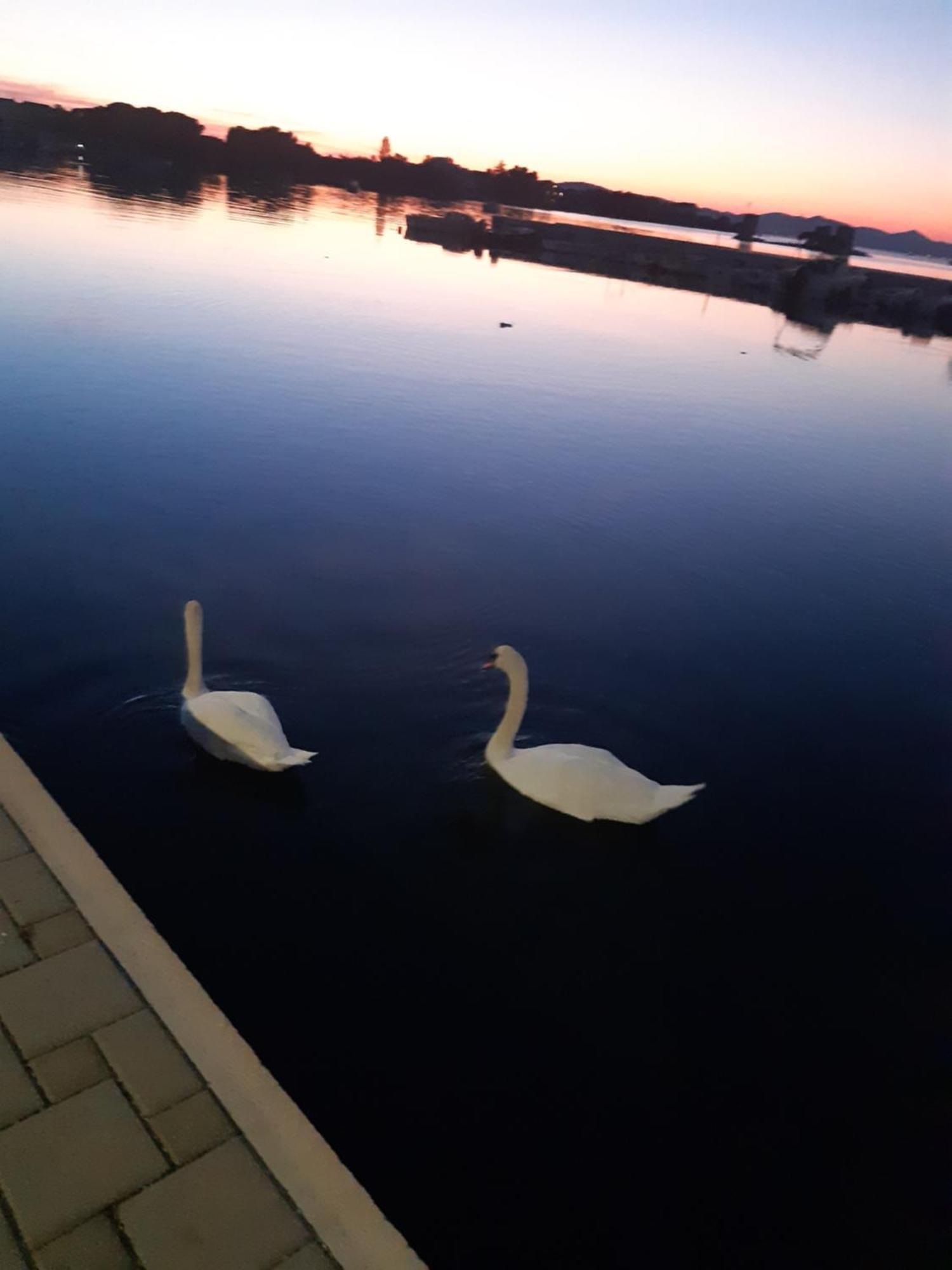 Apartman Barbir Sukošan Exterior foto